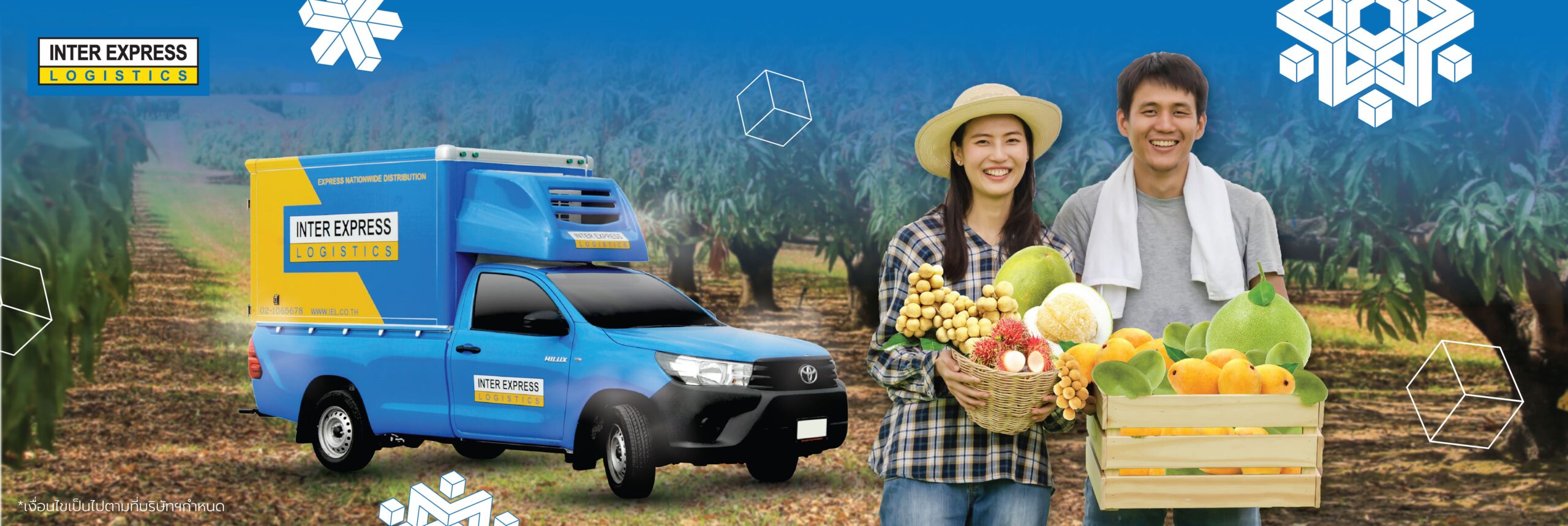 FRUIT DELIVERY บริการขนส่งผักผลไม้ ทั่วไทย ราคาเหมาๆ Inter Express