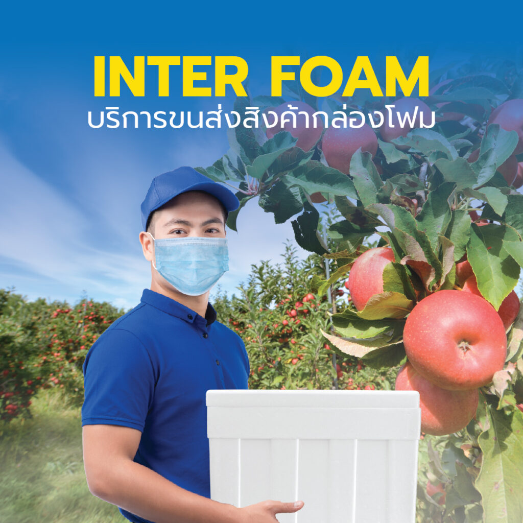 ส่งผลไม้ Inter Foam บริการขนส่งกล่องโฟม