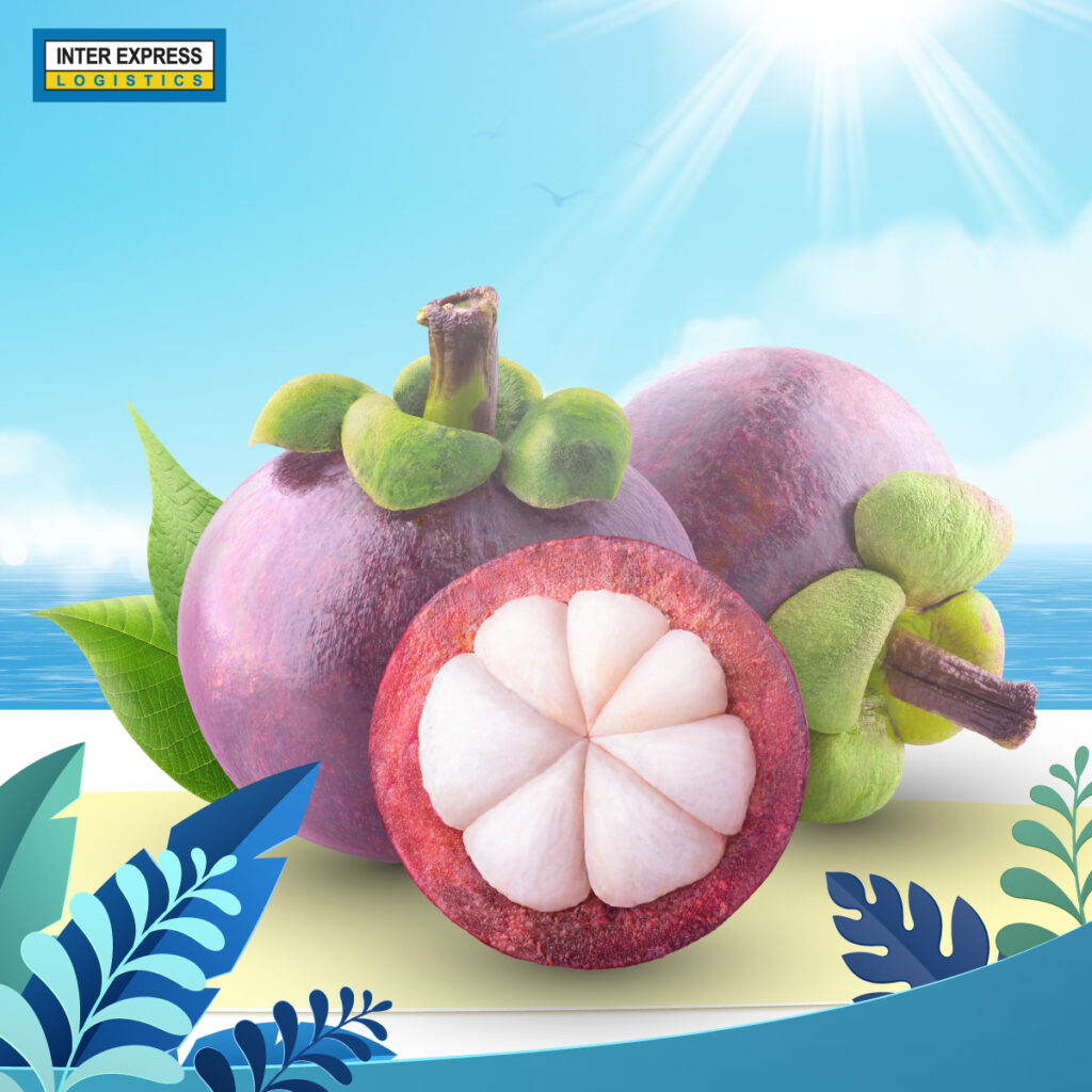 5 ผลไม้ฤทธิ์เย็น ดับกระหาย คลายร้อน ต้อนรับซัมเมอร์นี้