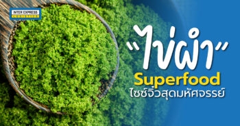 ไข่ผำ พืชน้ำ Superfood, ประโยชน์ไข่ผำ