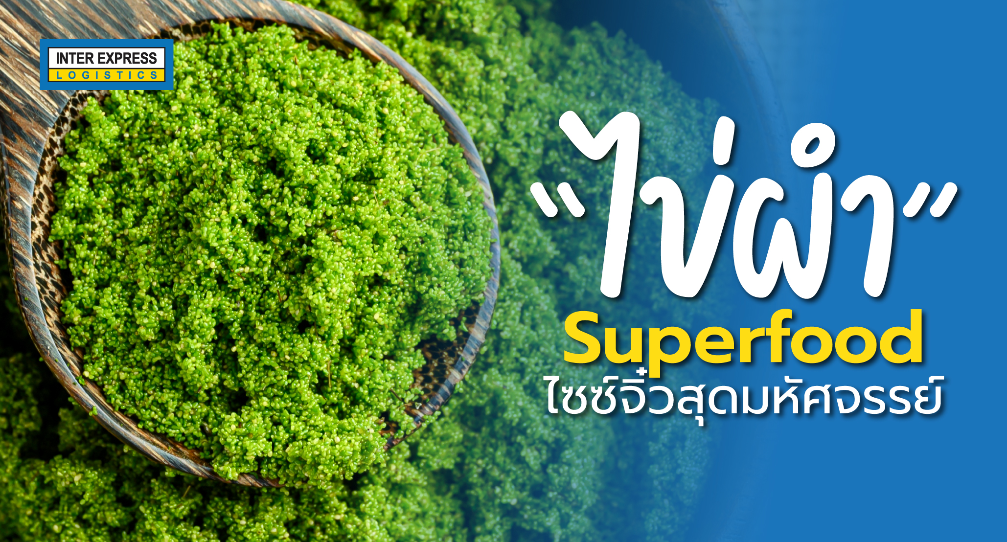 ไข่ผำ พืชน้ำ Superfood, ประโยชน์ไข่ผำ