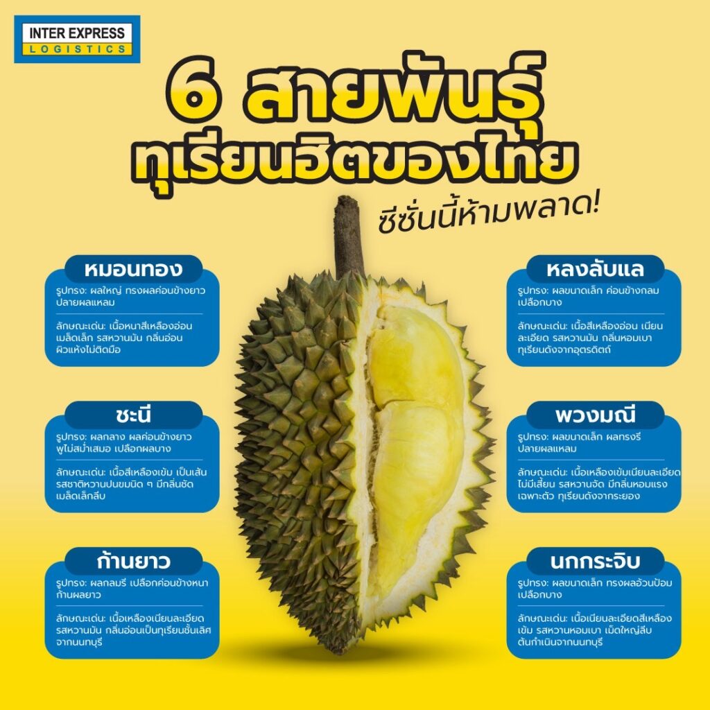 6 สายพันธุ์ทุเรียนฮิตของไทย
