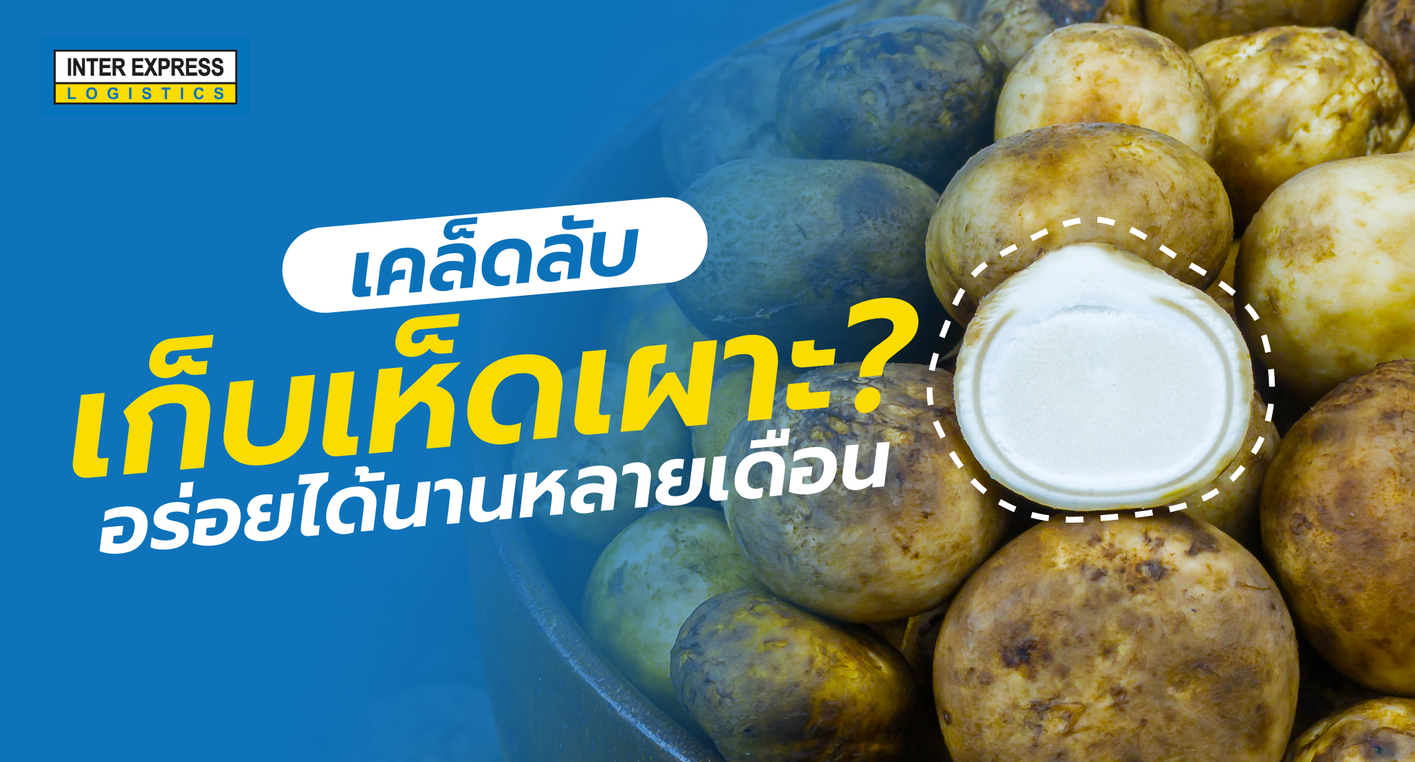 เห็ดเผาะ, เก็บเห็ดเผาะยังไง, Barometer Earthstars