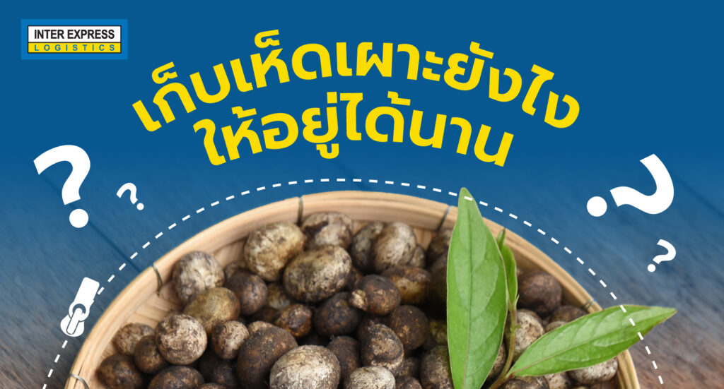 เห็ดเผาะ เก็บยังไง