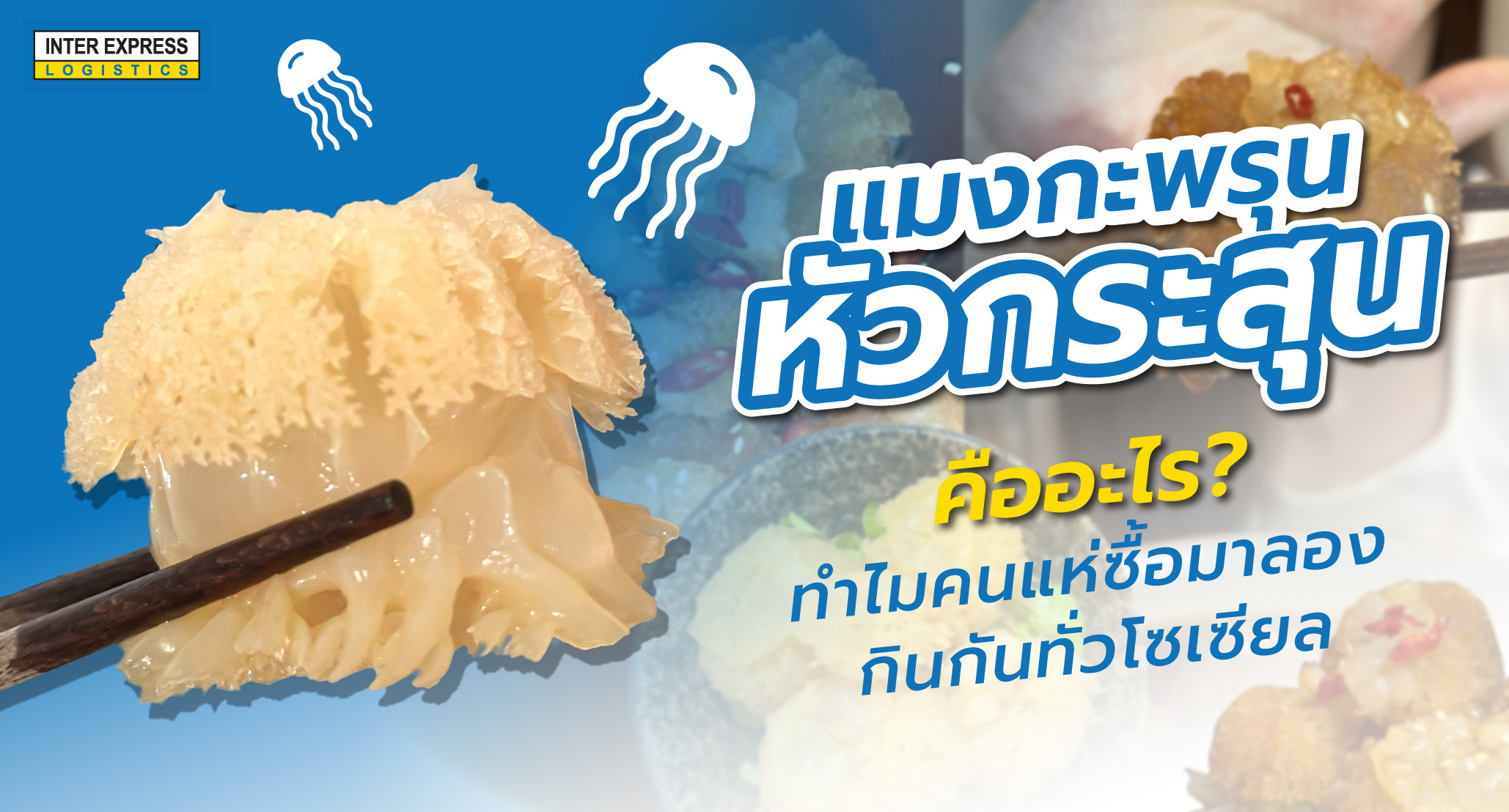 แมงกะพรุนหัวกระสุน Cannonball Jellyfish
