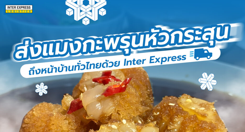 ส่ง แมงกะพรุนหัวกระสุน