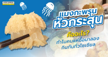 แมงกะพรุนหัวกระสุน Cannonball Jellyfish