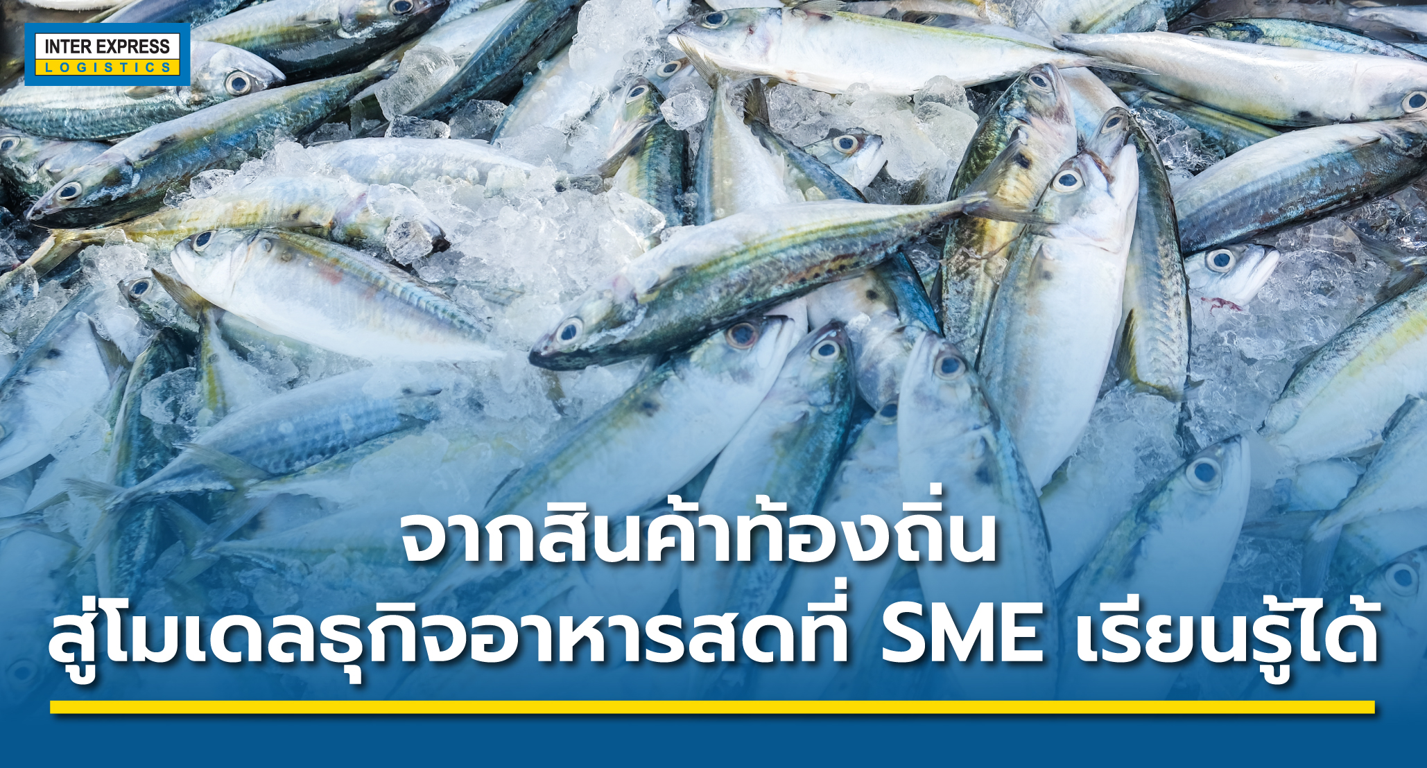 ส่งอาหารสด ปลาทูแม่กลอง