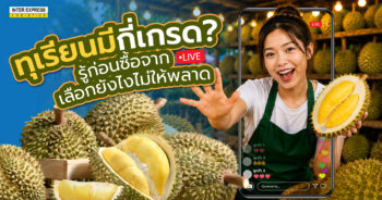 เกรดทุเรียน, ทุเรียนมีกี่เกรด